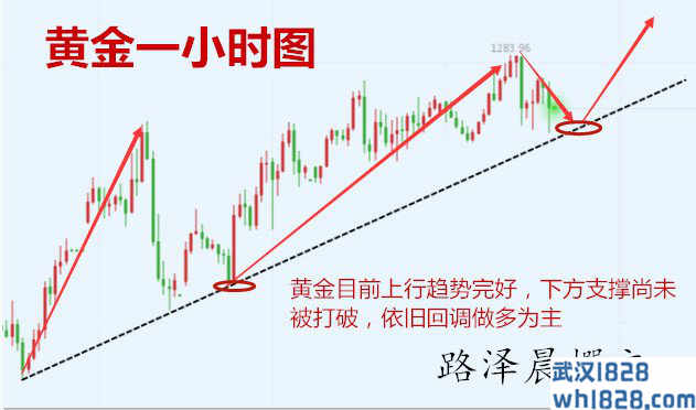 1.1一年光景不过眨眼，黄金原油带你走向成功